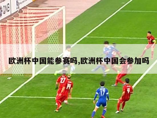 欧洲杯中国能参赛吗,欧洲杯中国会参加吗